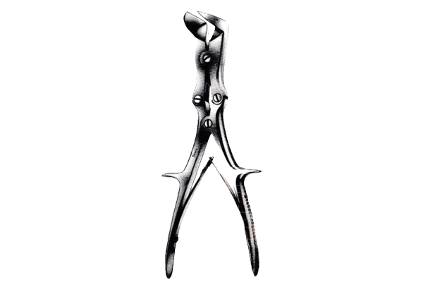 Cutter Bone Double Action Liston Right Angled 10.5inch Long